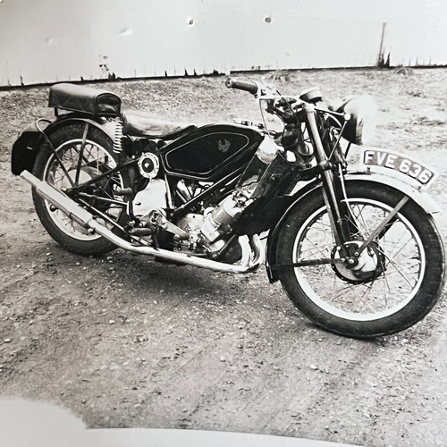 Scott flying squirrel - scott,